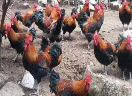 产值-北极星环保网